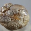 Chalcedony Womb Stone ~40mm
