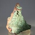 Conichalcite Mineral Specimen (Mexican)  ~45mm