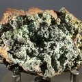 Conichalcite Mineral Specimen (Mexican)  ~63mm