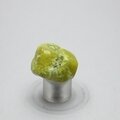 Lizardite Tumblestone ~25mm