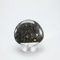 Nuummite Polished Flat Tumblestone ~41mm