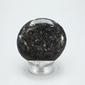 Nuummite Polished Flat Tumblestone ~48mm