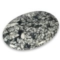 Pinolite Palm Stone ~70x50mm