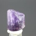 Violet Scapolite Healing Crystal (Extra Grade) ~16mm