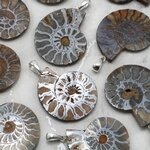 Ammonite Fossil 925 Silver Pendant ~30-35mm