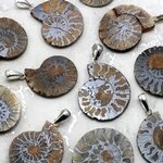 Ammonite Fossil 925 Silver Pendant ~25-28mm
