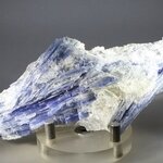 Blue Kyanite (Paraiba) Healing Crystal ~120mm