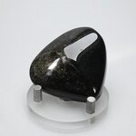 Obsidian Sheen-Gold Polished Stone ~48mm