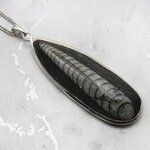 Orthoceras Fossil & Sterling Silver Pendant ~48-52mm