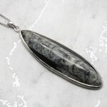 Orthoceras Fossil & Sterling Silver Pendant ~55-60mm