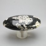 Rhodonite Snowflake Polished Stone ~64mm