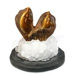 Tiger Eye Carved Dolphin On Base ~100mm x 95mm