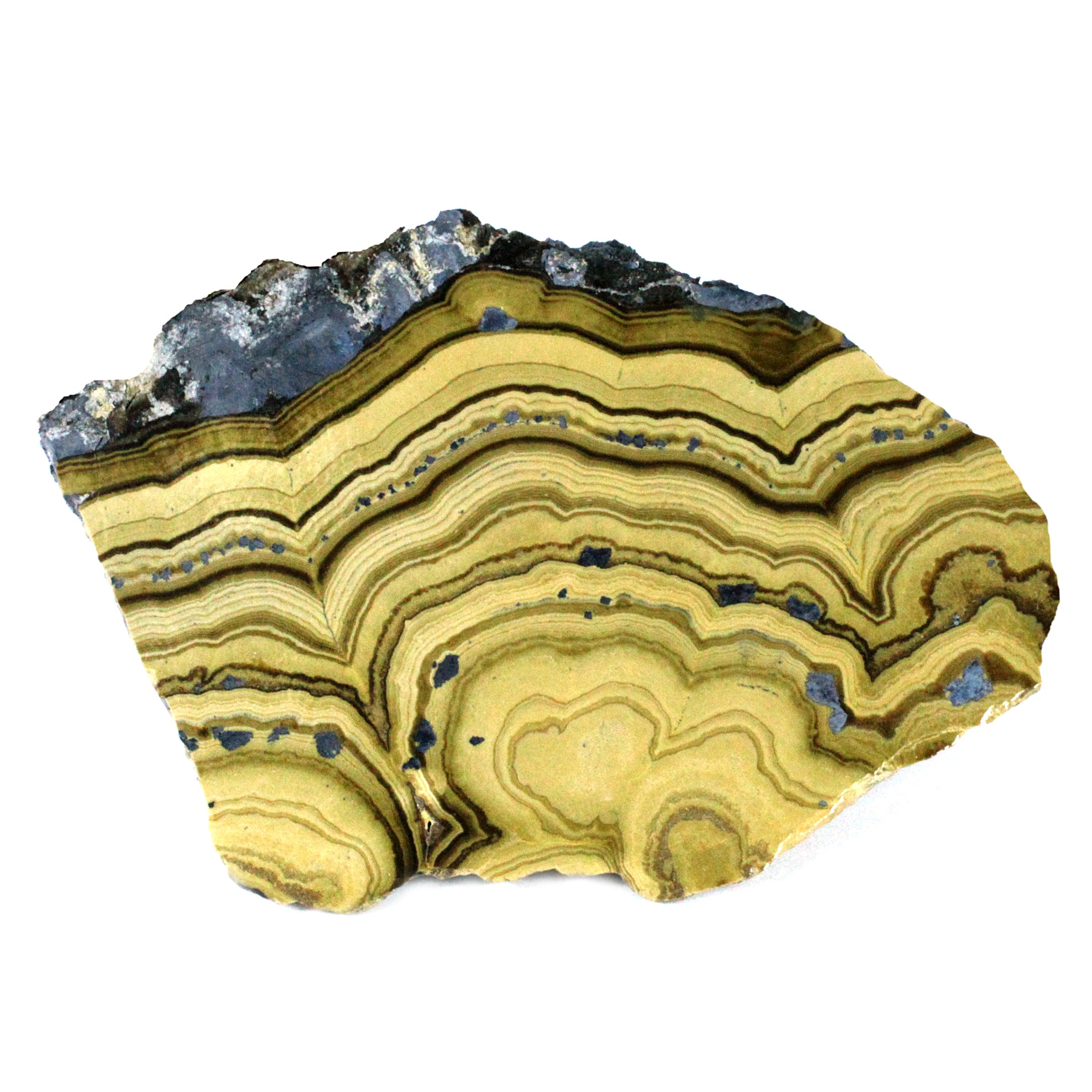 Schalenblende