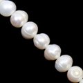 Pearl Beads