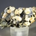 Aegirine & Orthoclase Mineral Specimen ~58mm