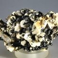 Aegirine & Orthoclase Mineral Specimen ~65mm