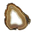 Agate Slice - Brown and honey coloured banded with crystal centre ~ 200mm