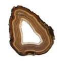 Agate Slice - Banded brown with crystal edged open centre ~ 190mm