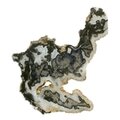 Agate Slice - Blue/Grey ~290mm