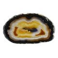 Agate Slice - Carnelian centre with grey/black banded edge ~165mm