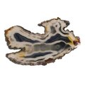 Agate Slice - Blue/Grey with carnelian flecks ~180mm