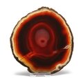 Agate Slice - Carnelian ~ 136mm