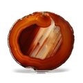 Agate Slice - Carnelian ~ 137mm