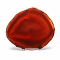 Agate Slice - Carnelian ~ 150mm