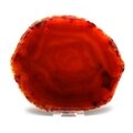 Agate Slice - Carnelian ~ 150mm