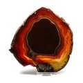Agate Slice - Carnelian ~ 140mm