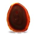 Agate Slice - Carnelian ~ 145mm