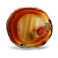 Agate Slice - Carnelian ~ 140mm