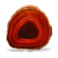 Agate Slice - Carnelian ~ 135mm