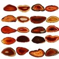 Agate Slice Natural - Pack of 20