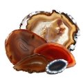 Agate Slice Natural