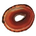 Agate Slice -  Red/Brown ~120mm