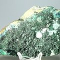 RARE Atacamite Mineral Specimen ~130mm