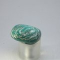 Amazonite Tumblestone  ~24mm