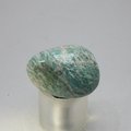 Amazonite Tumblestone  ~26mm