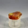 Amber Tumblestone ~20mm