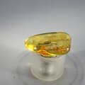 Amber Tumblestone ~22mm