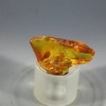 Amber Tumblestone ~24mm