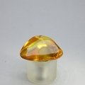 Amber Tumblestone ~25mm