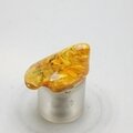 Amber Tumblestone ~25mm