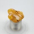 Amber Tumblestone ~25mm