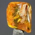 Amber Tumblestone ~26mm