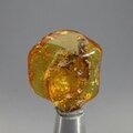 Amber Tumblestone ~27mm