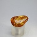 Amber Tumblestone ~29mm