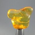 Amber Tumblestone ~30mm