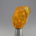 Amber Tumblestone ~31mm